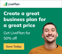Create a huge business plan for a great price