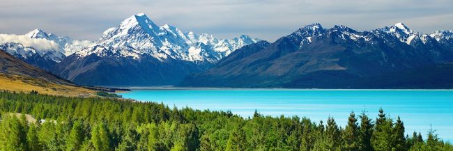 New Zealand visa for USE citizens - How long can you stay and requirements cover image